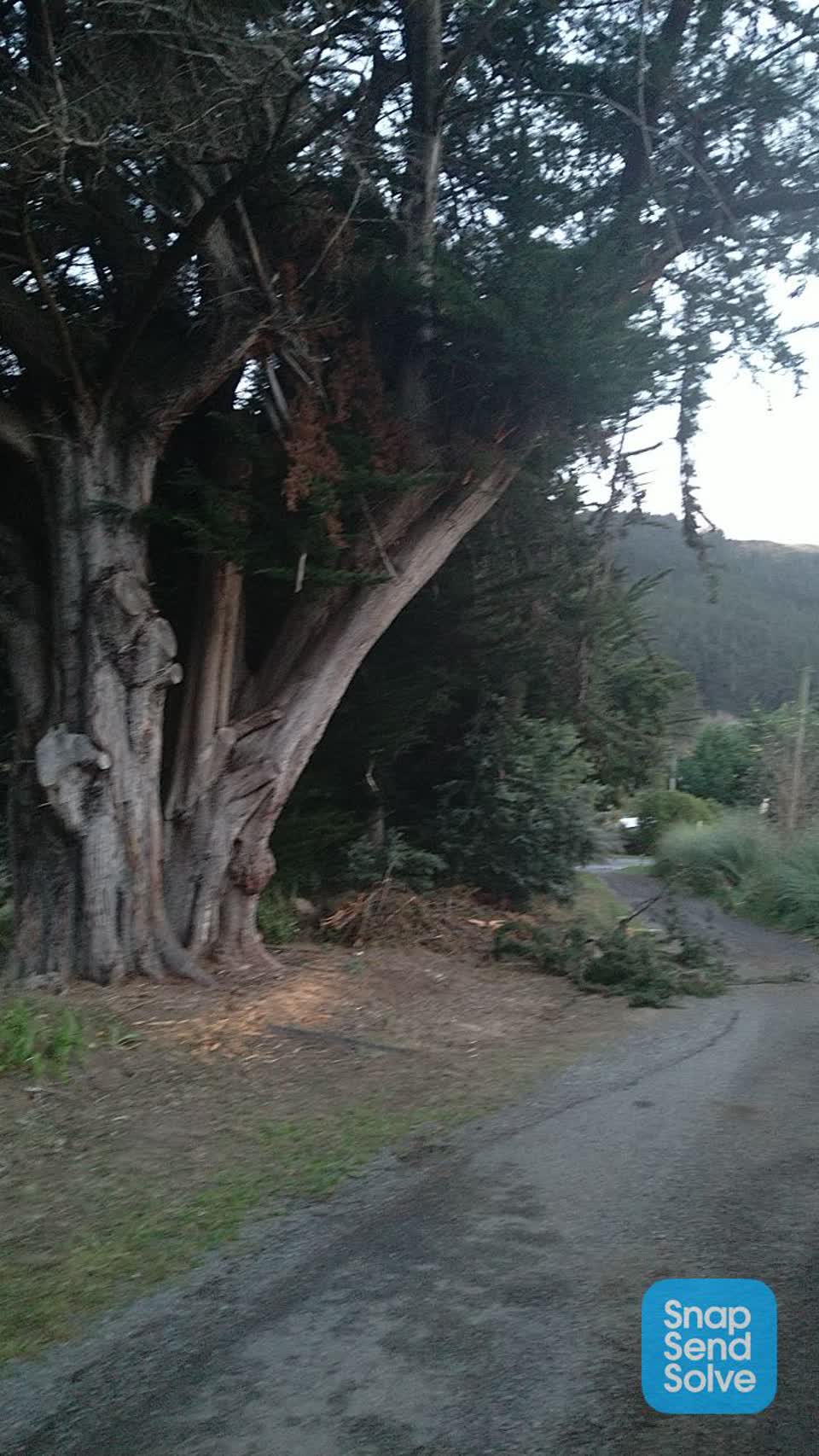The photograph attached to this roading/streets report