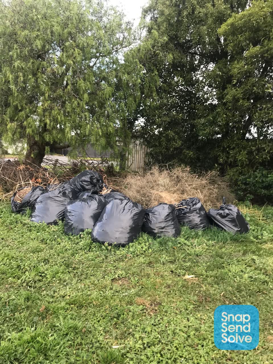 The photograph attached to this rubbish/recycling report