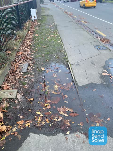 Water Leak, a report photo