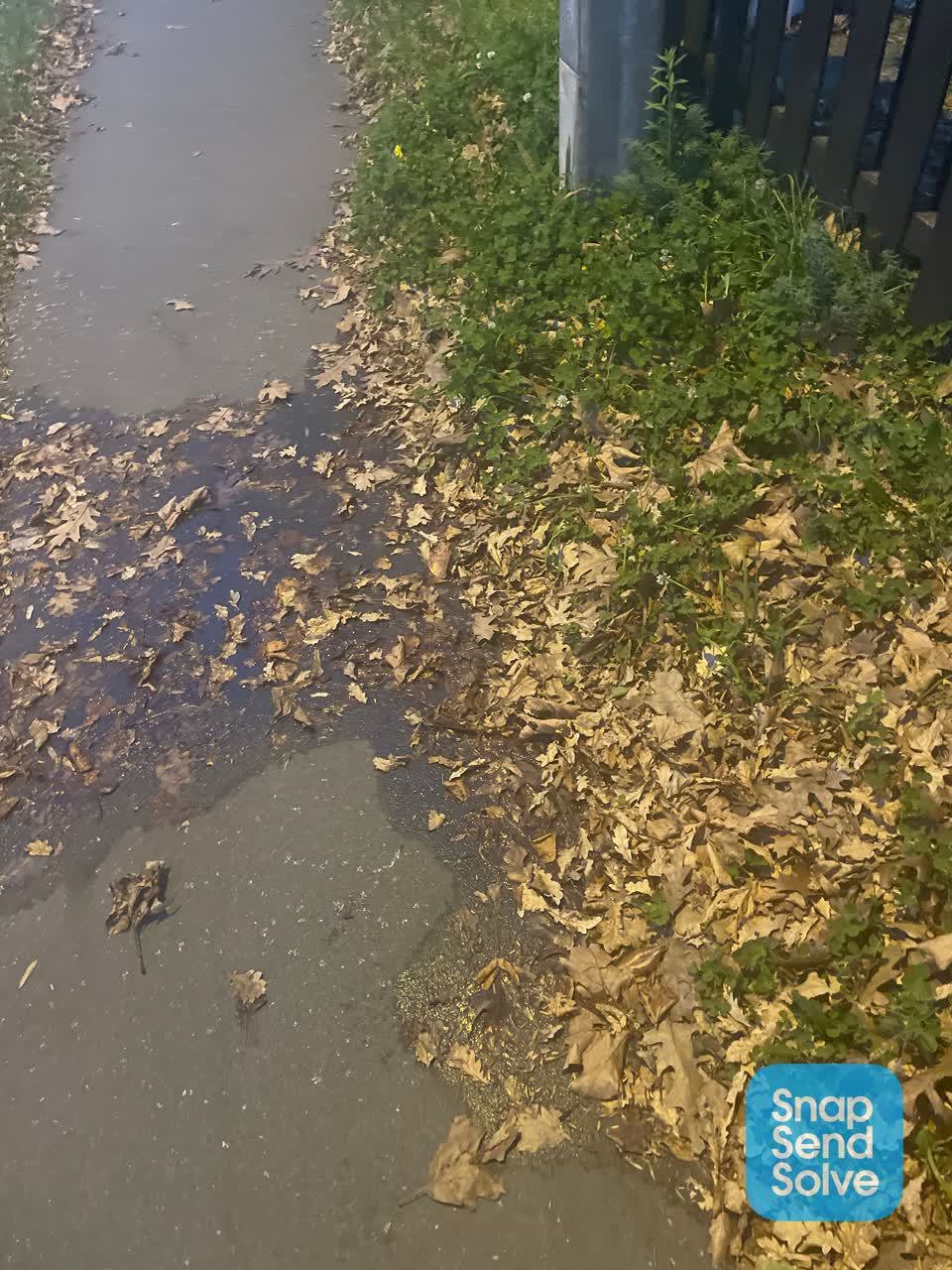The photograph attached to this water leak report