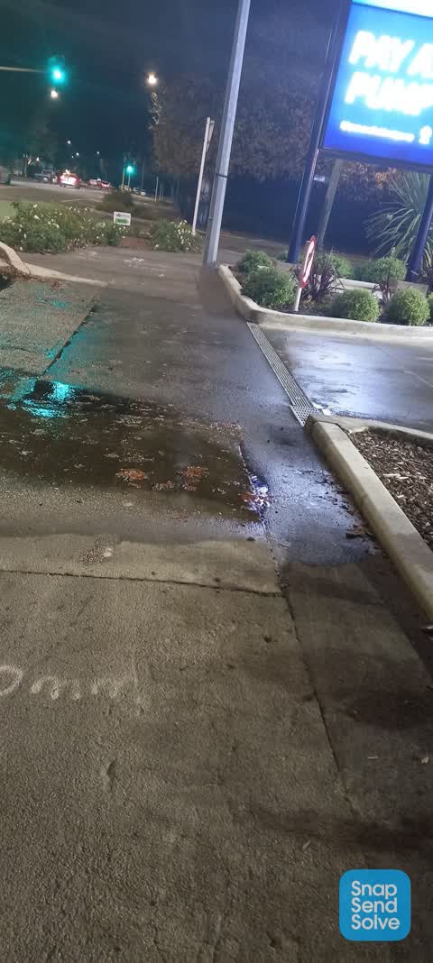 Water Leak, a report photo