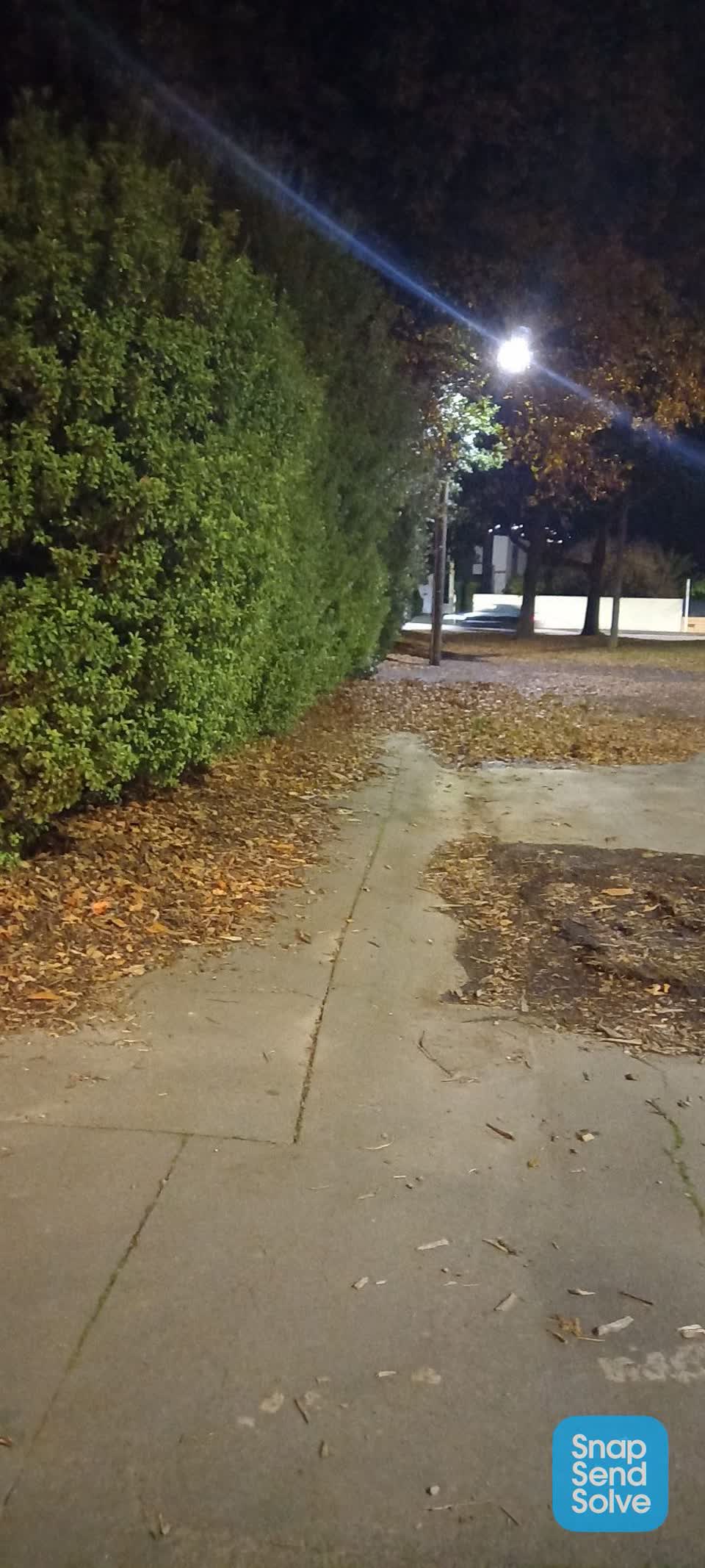 The photograph attached to this roading/streets report