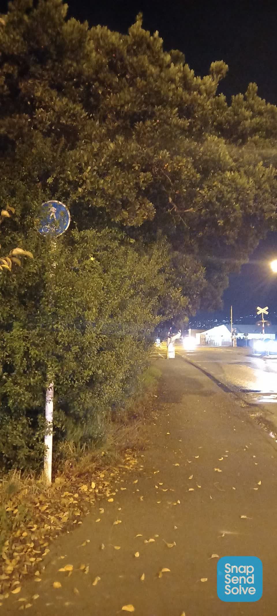 The photograph attached to this roading/streets report