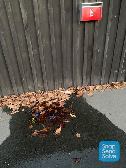 Water Leak, a report photo