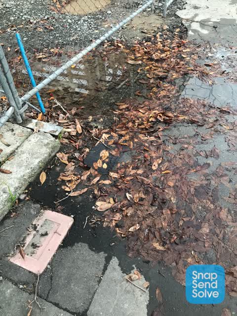 Water Leak, a report photo