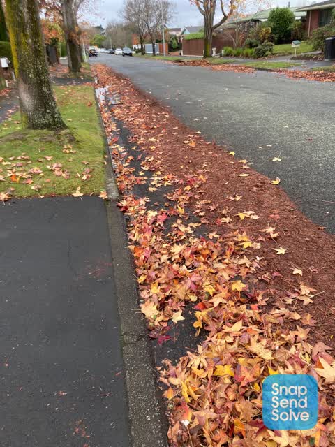 Roading/Streets, a report photo
