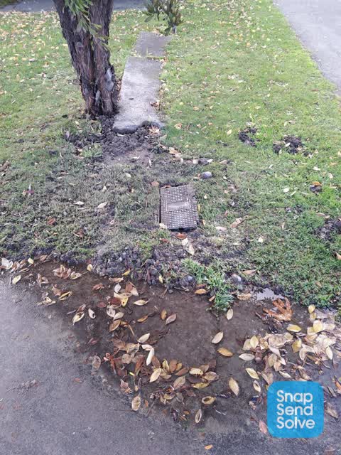 Water Leak, a report photo