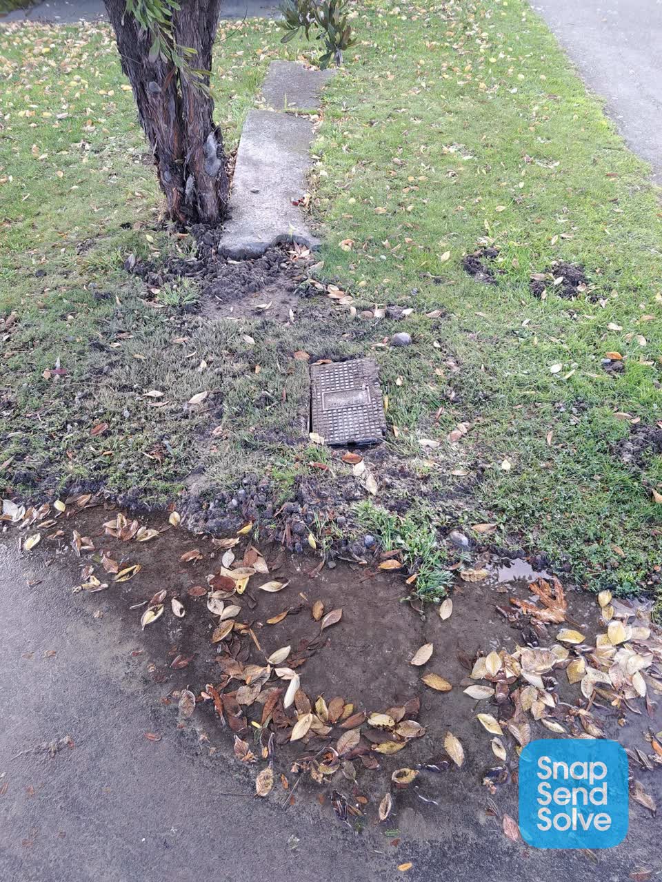 The photograph attached to this water leak report