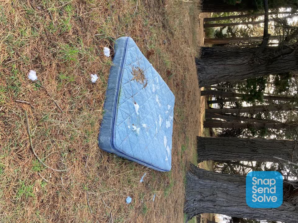 The photograph attached to this parks report