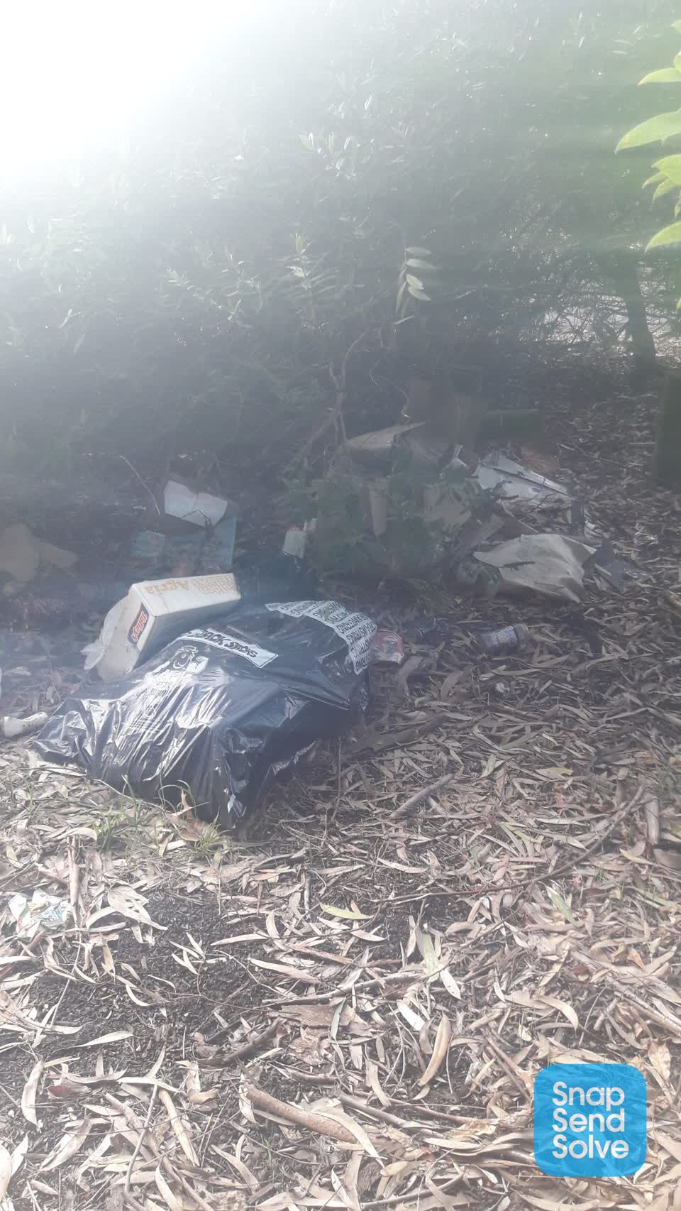 The photograph attached to this rubbish/recycling report