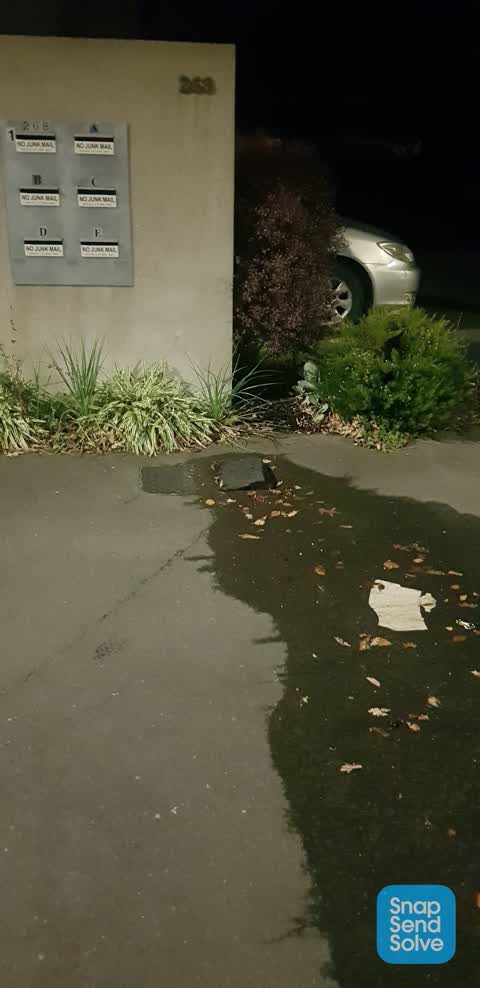 Water Leak, a report photo