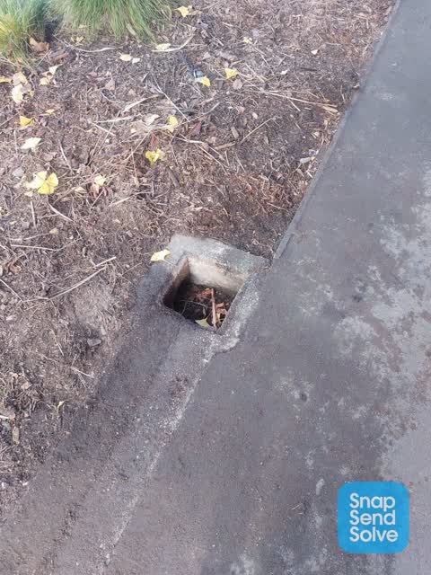 Wastewater/Stormwater, a report photo