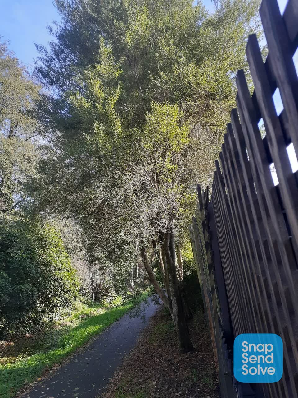 The photograph attached to this parks report