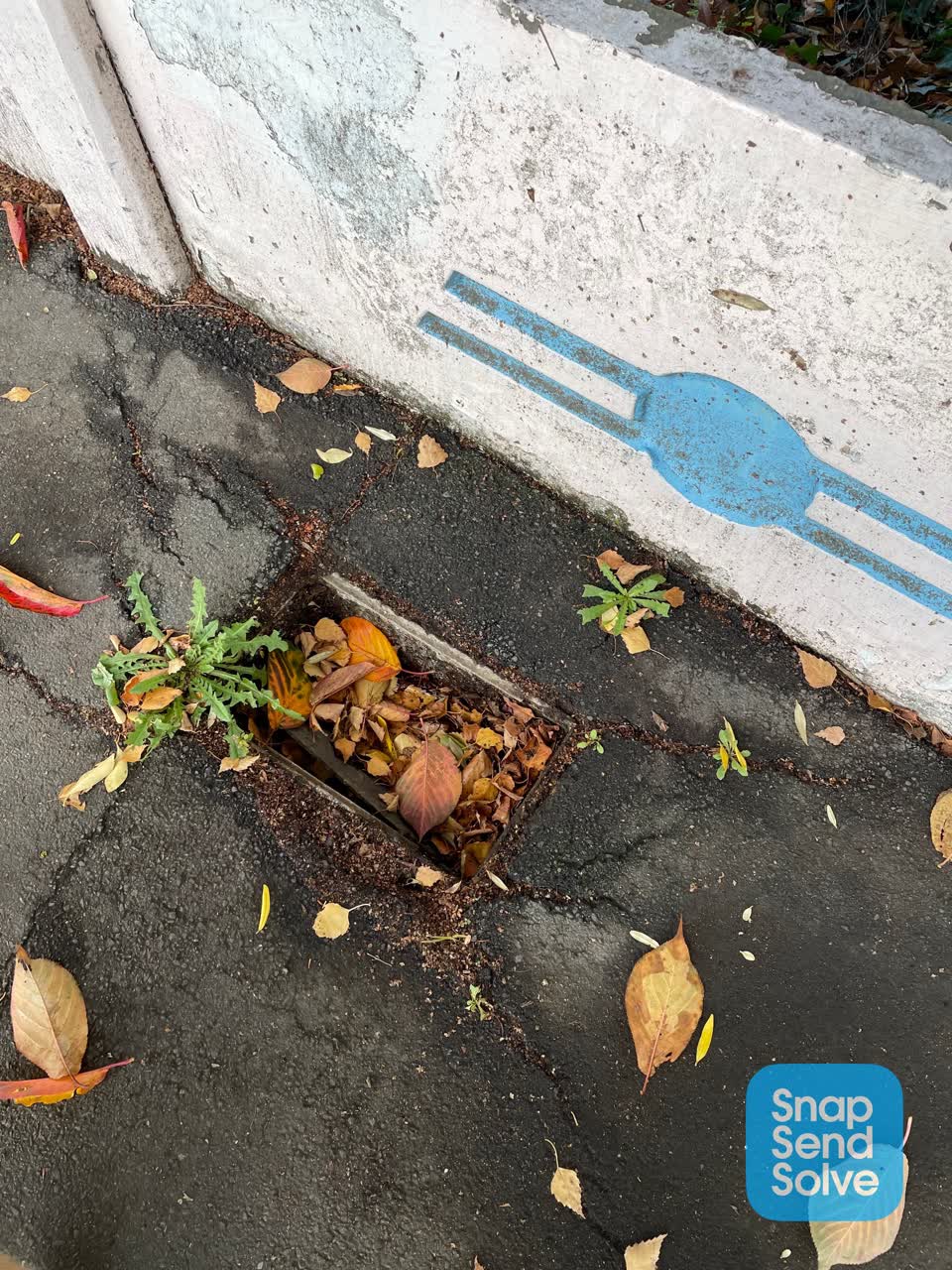 The photograph attached to this water supply report