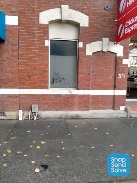 Graffiti, a report photo