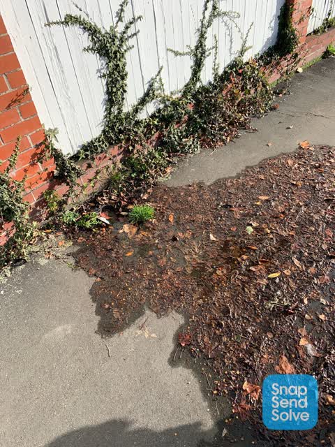 Water Leak, a report photo
