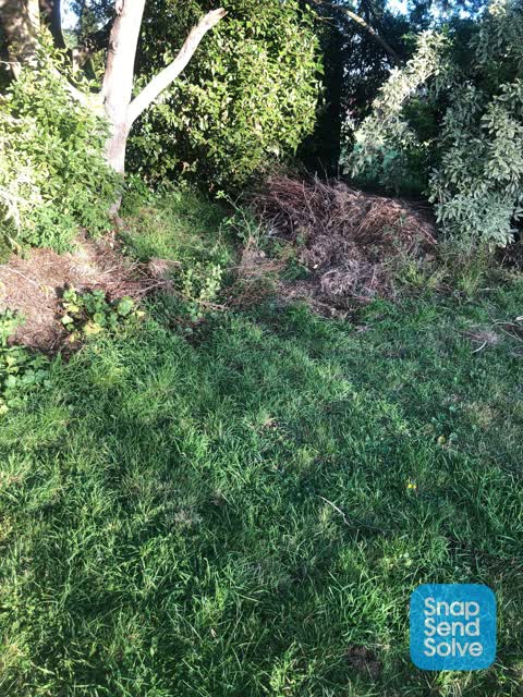 Parks, a report photo
