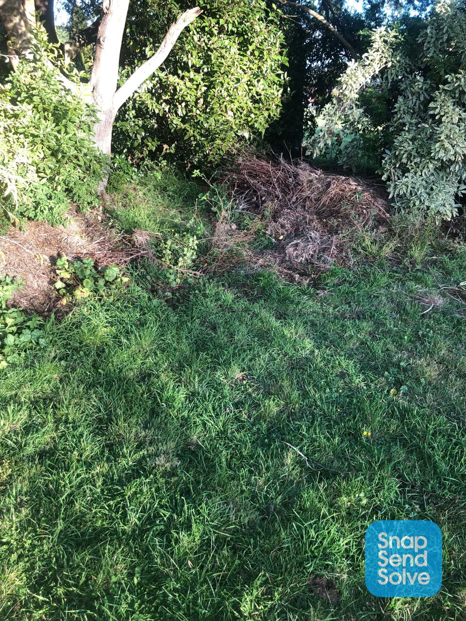 The photograph attached to this parks report