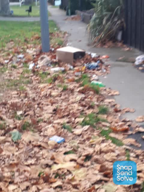 Rubbish/Recycling, a report photo