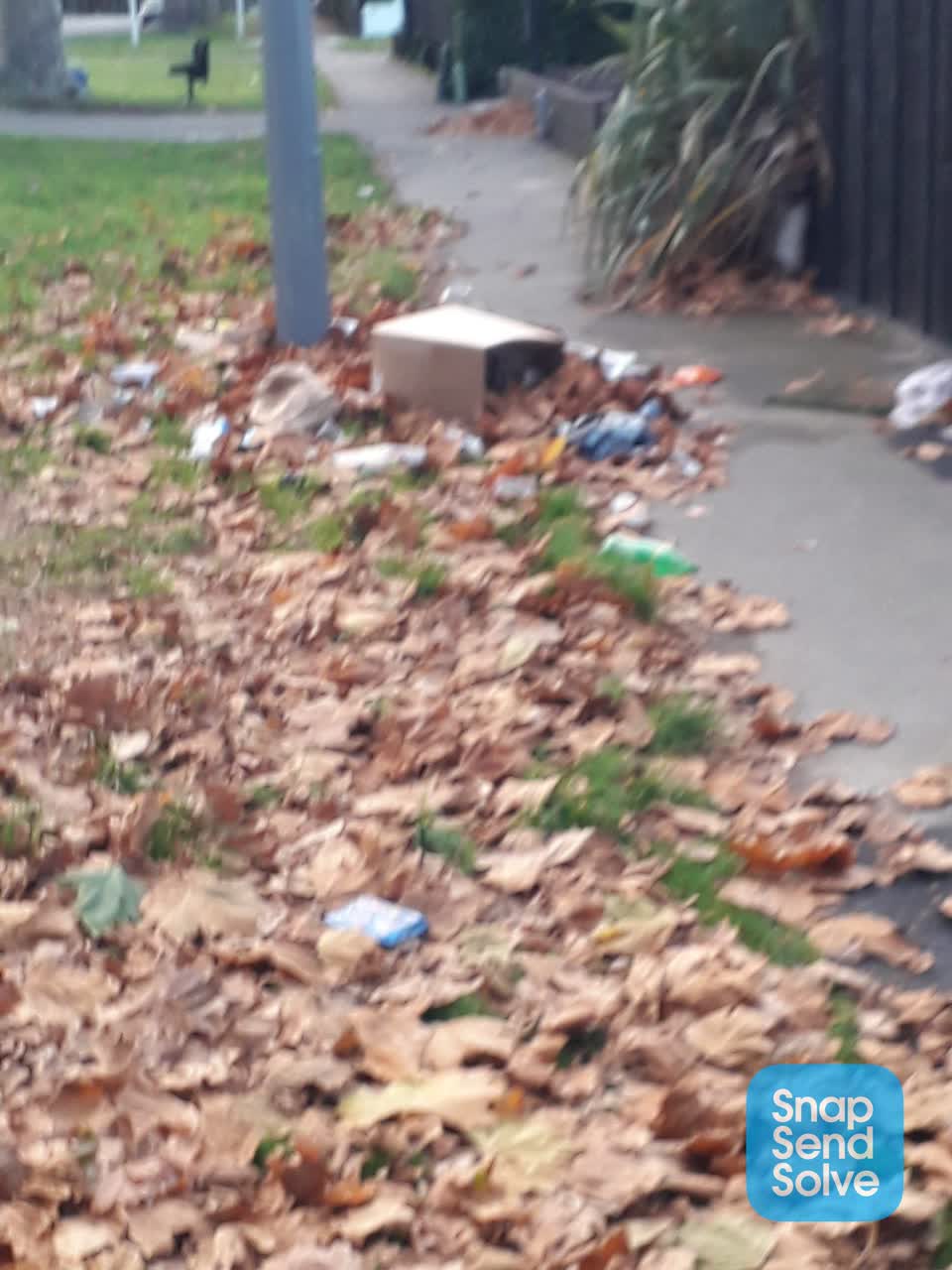 The photograph attached to this rubbish/recycling report