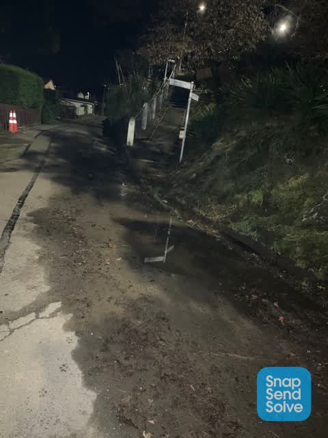 Roading/Streets, a report photo