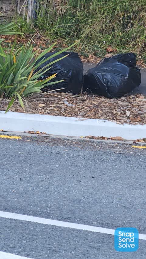 Rubbish/Recycling, a report photo