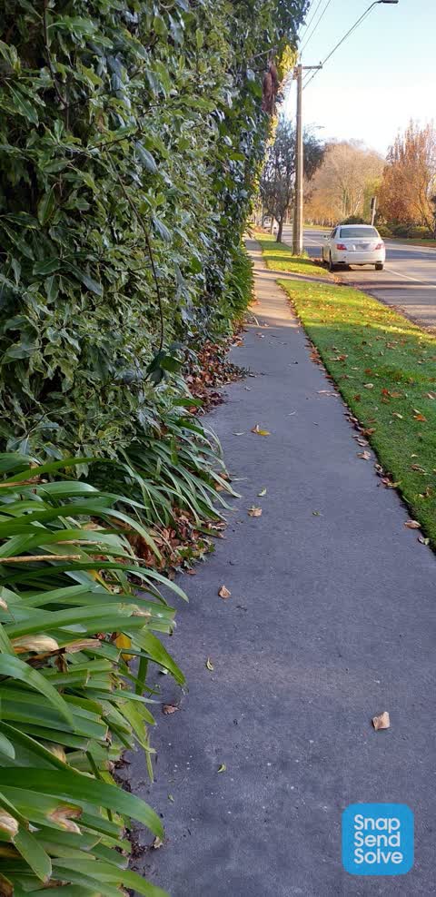 Roading/Streets — a report photo