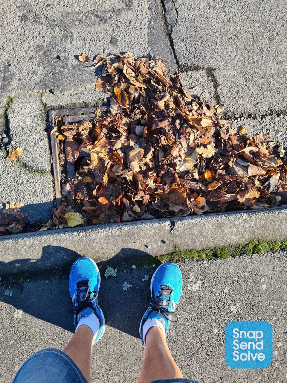 The photograph attached to this wastewater/stormwater report