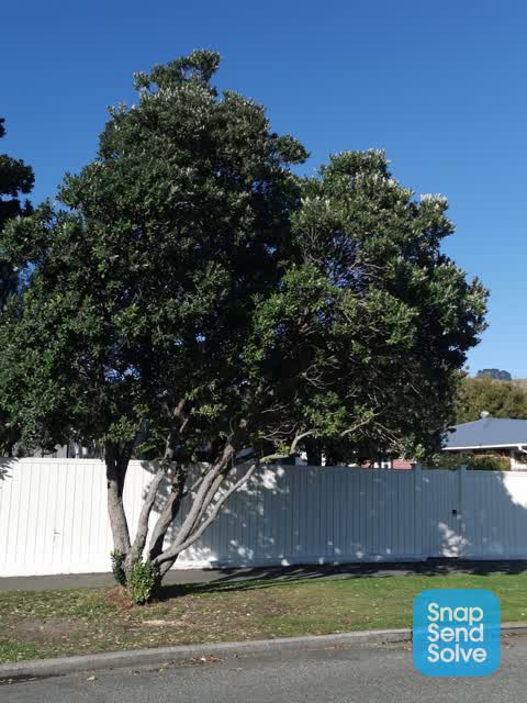 Parks, a report photo
