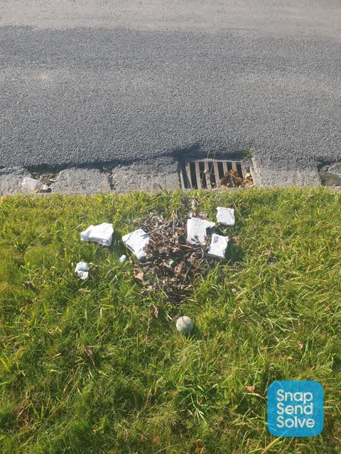 Rubbish/Recycling, a report photo