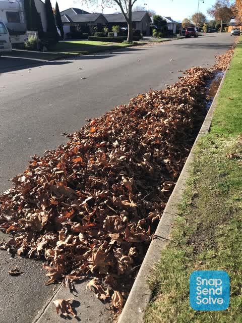 Sewer - Leak / Blockage, a report photo