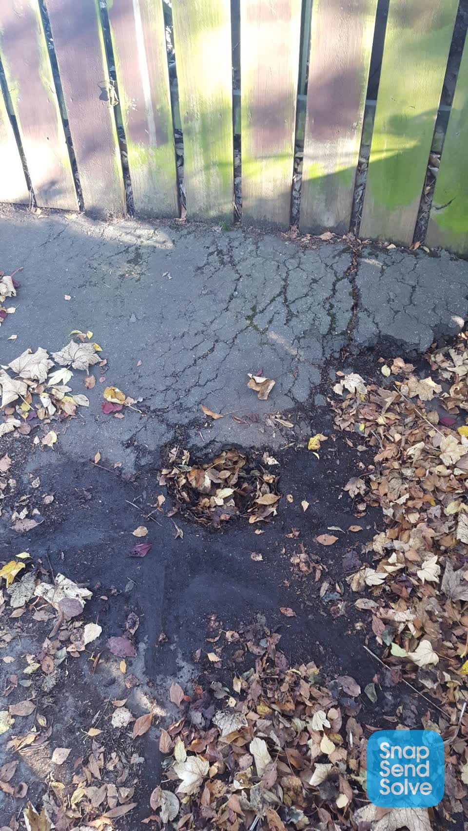 The photograph attached to this roading/streets report