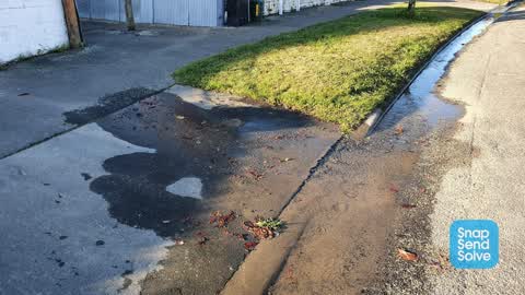Water Leak, a report photo