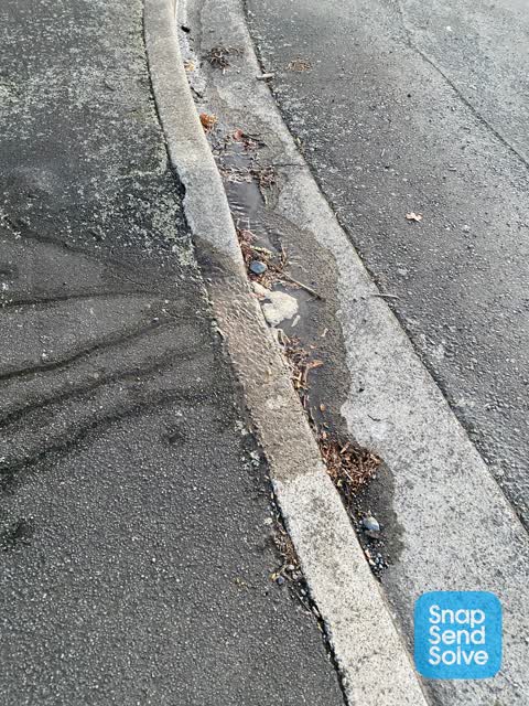 Water Leak, a report photo