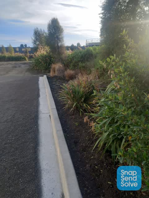 Parks, a report photo