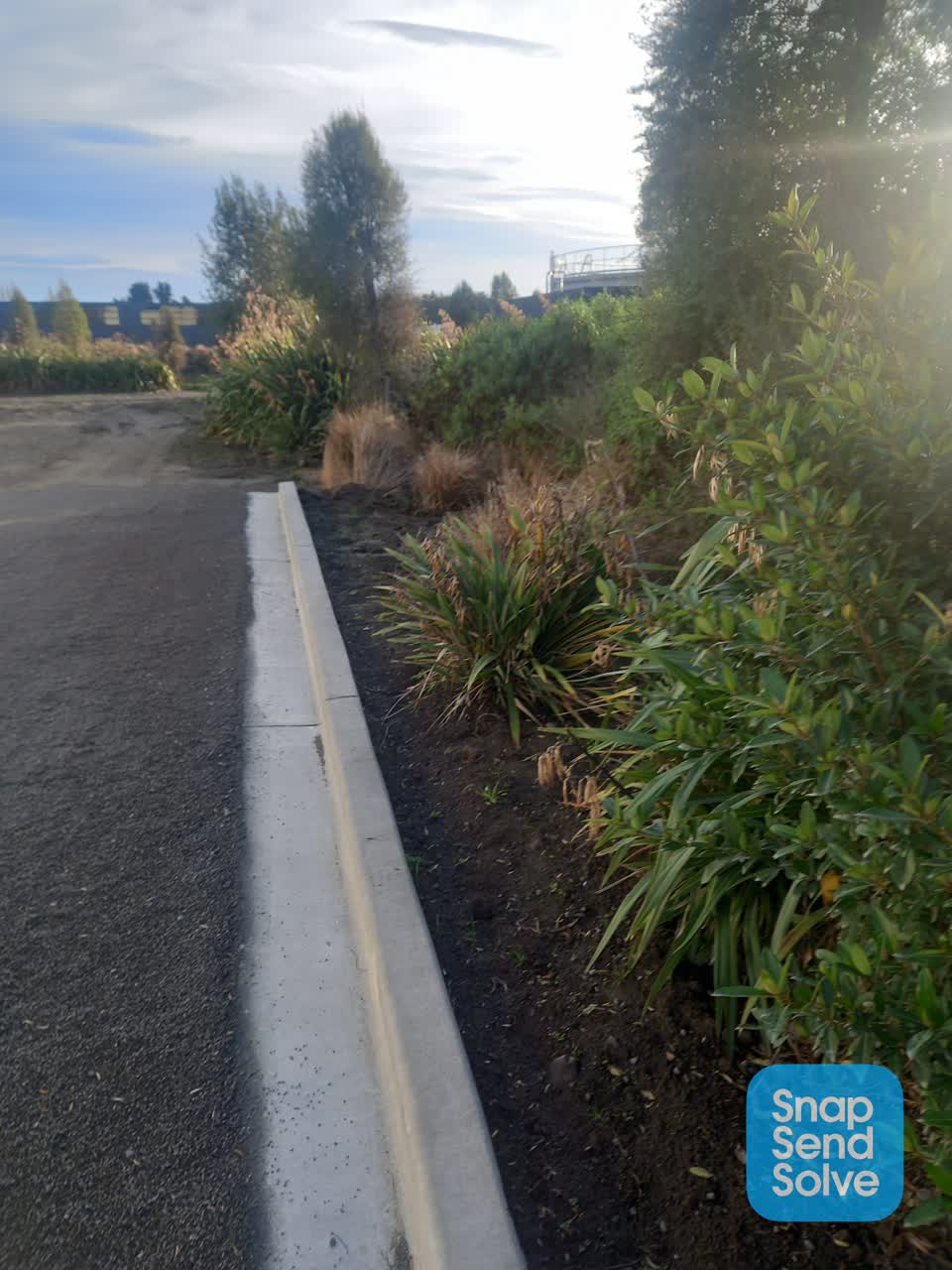 The photograph attached to this parks report