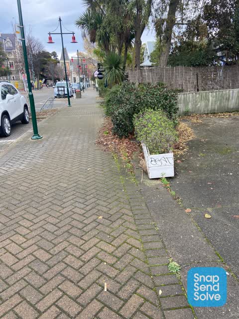 Graffiti, a report photo