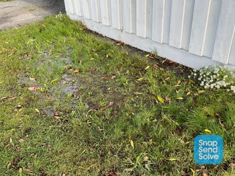 Water Leak, a report photo