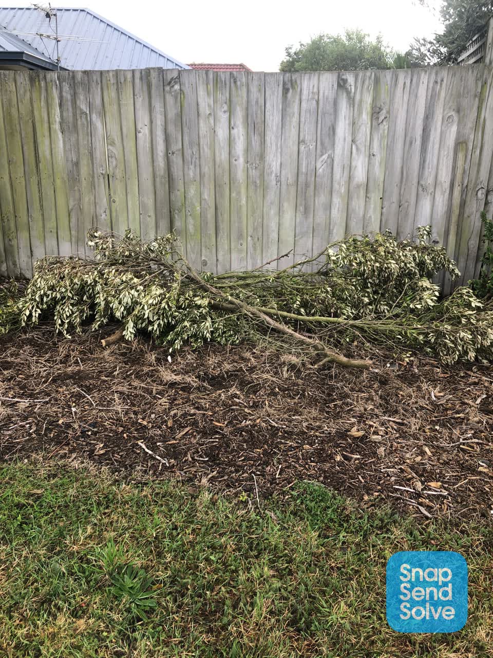 The photograph attached to this parks report