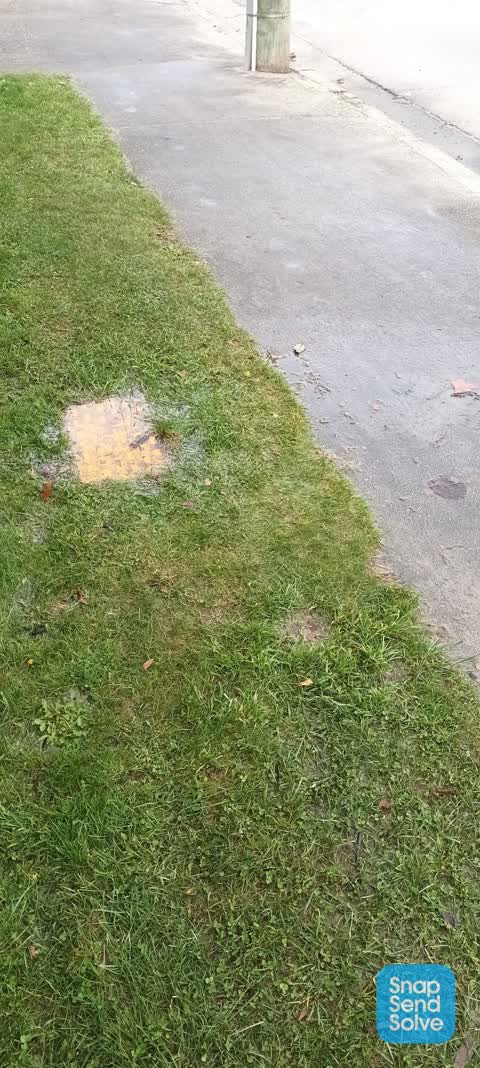 Water Leak, a report photo