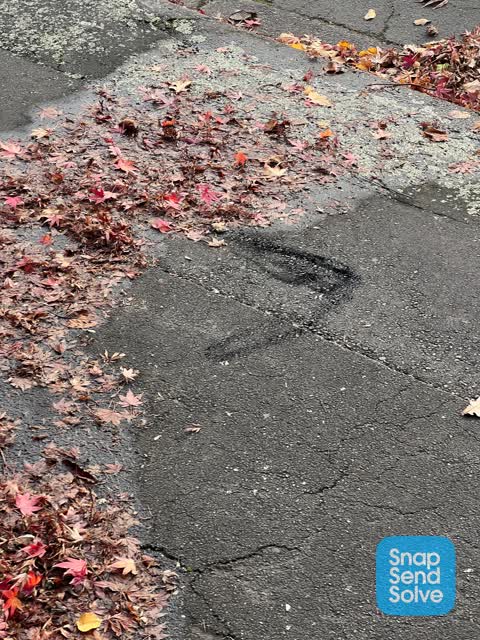 Water Leak, a report photo