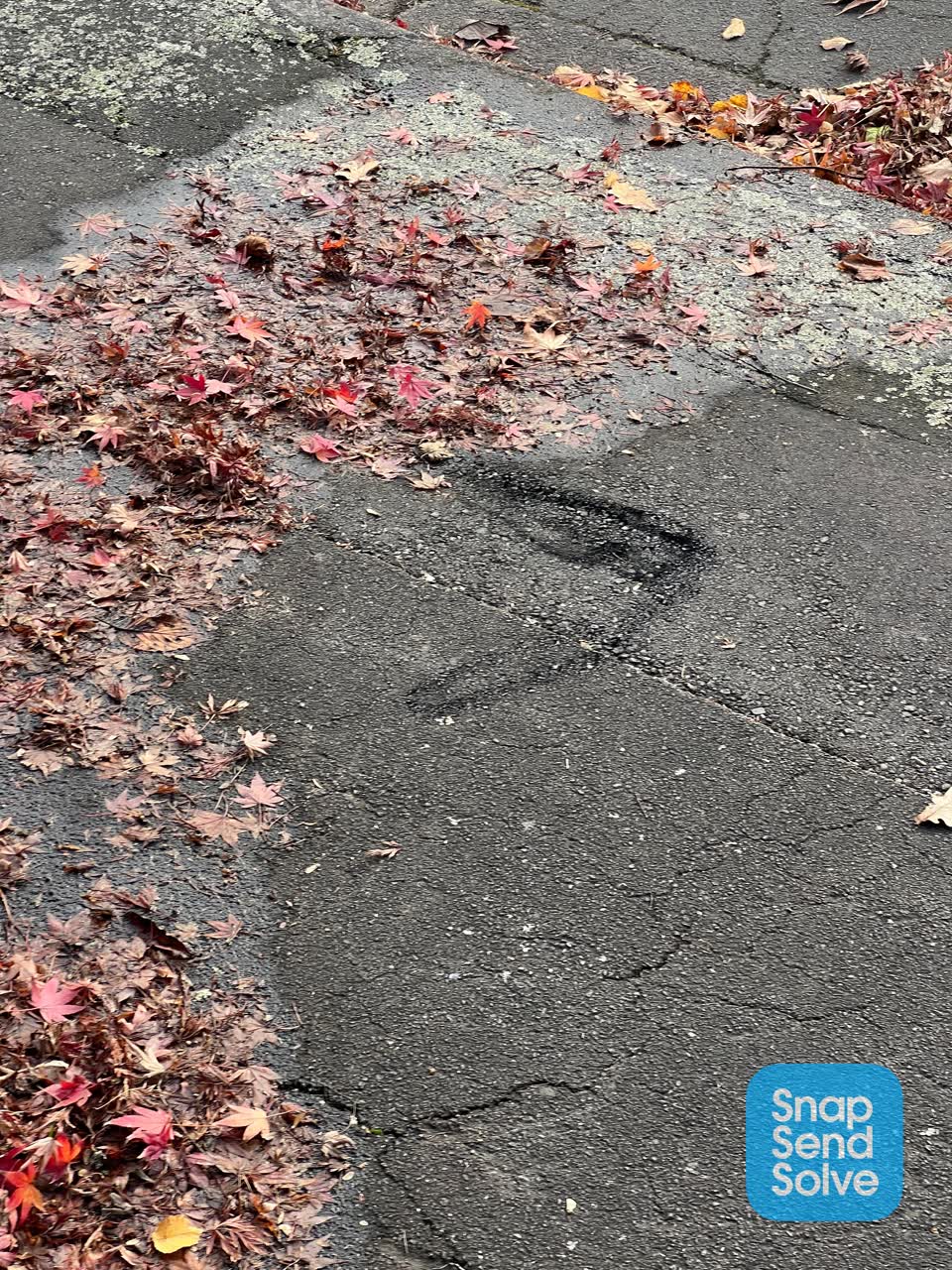 The photograph attached to this water leak report