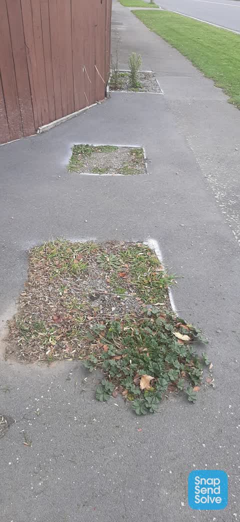 Roading/Streets, a report photo