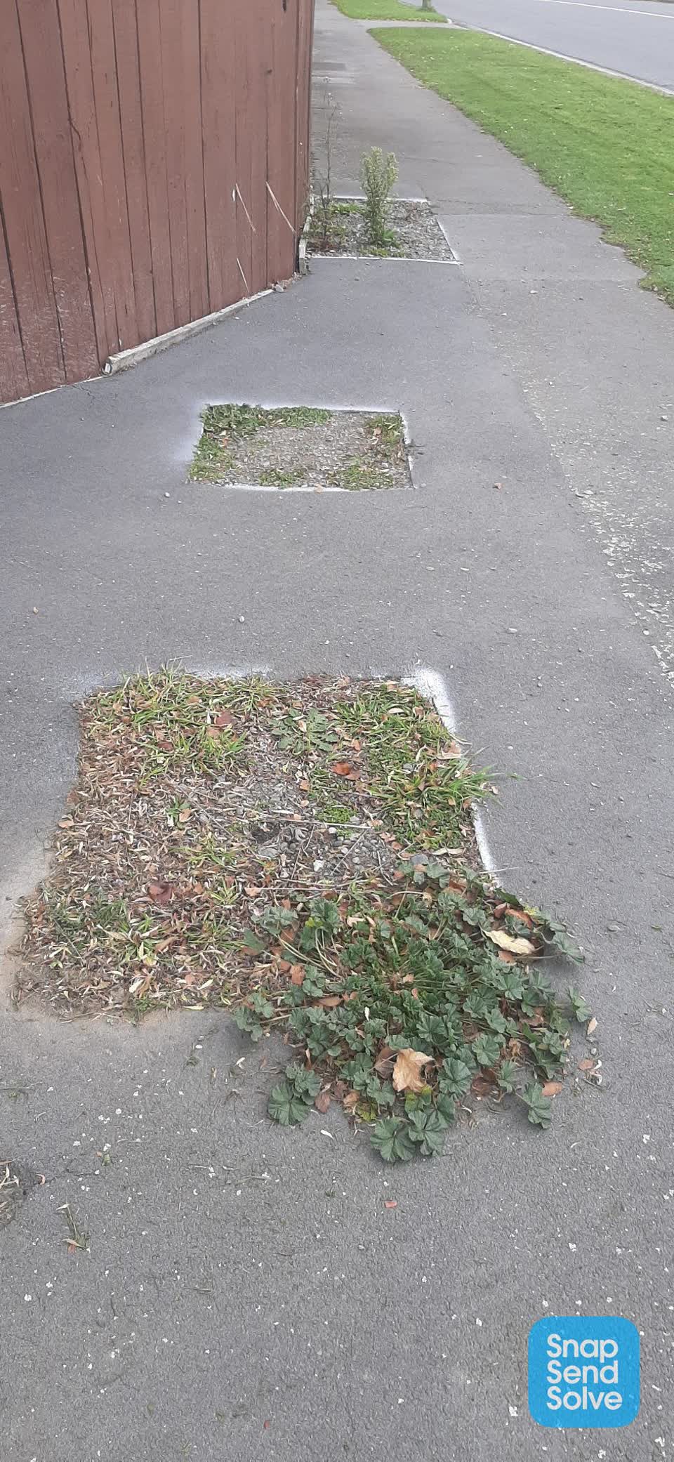 The photograph attached to this roading/streets report