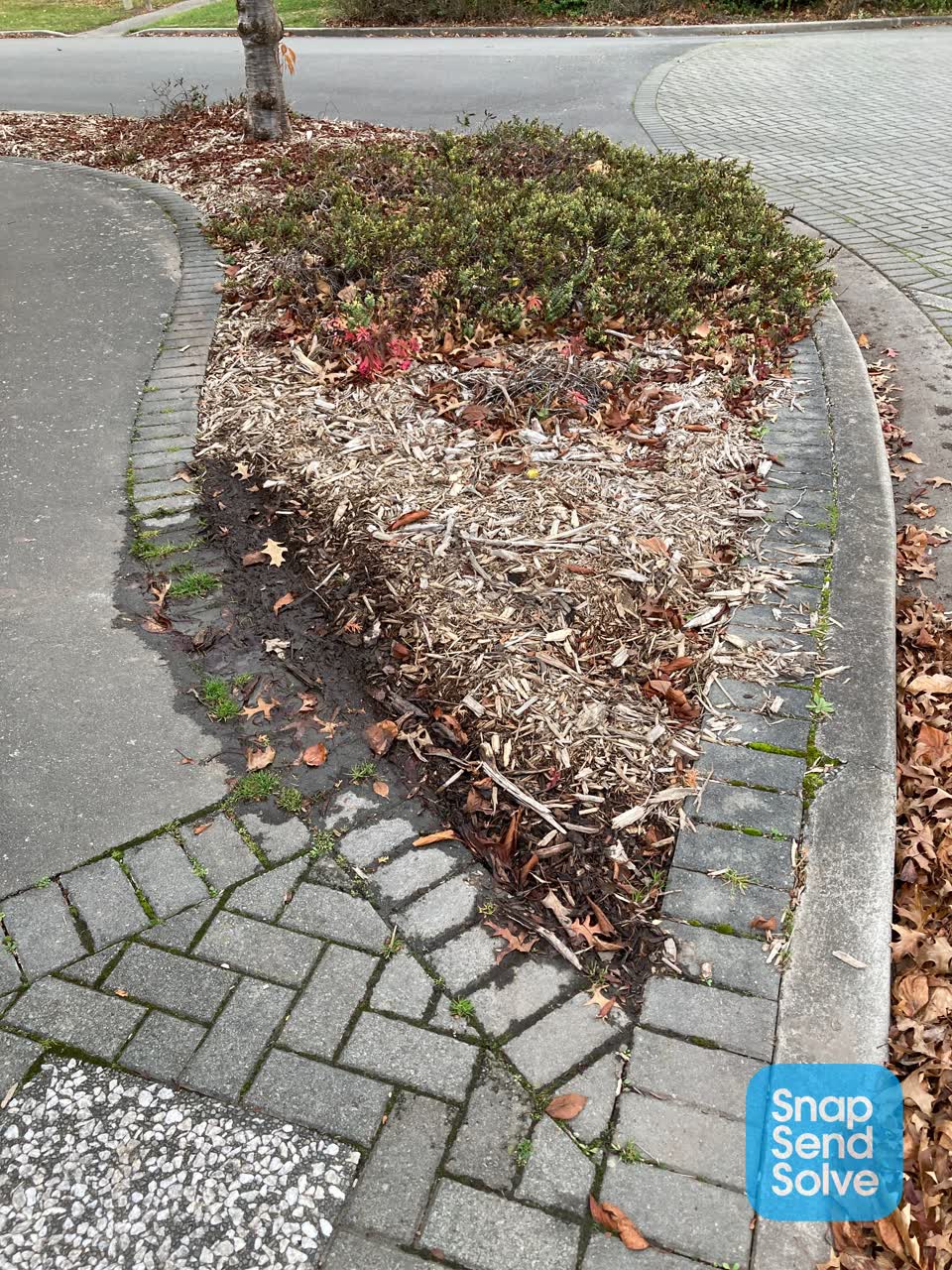 The photograph attached to this water leak report