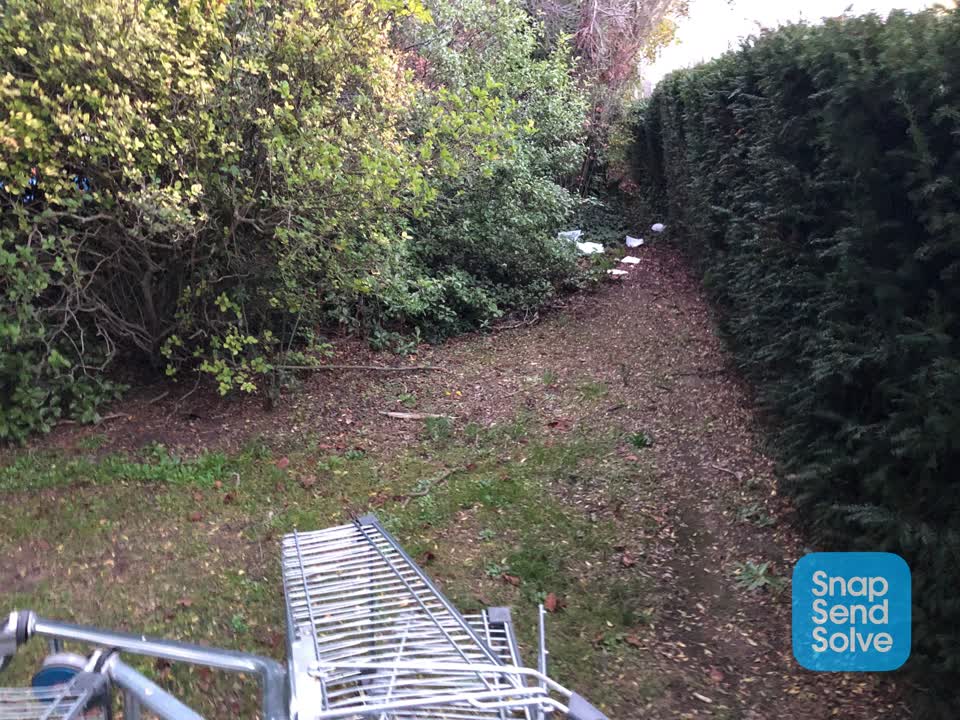 The photograph attached to this parks report