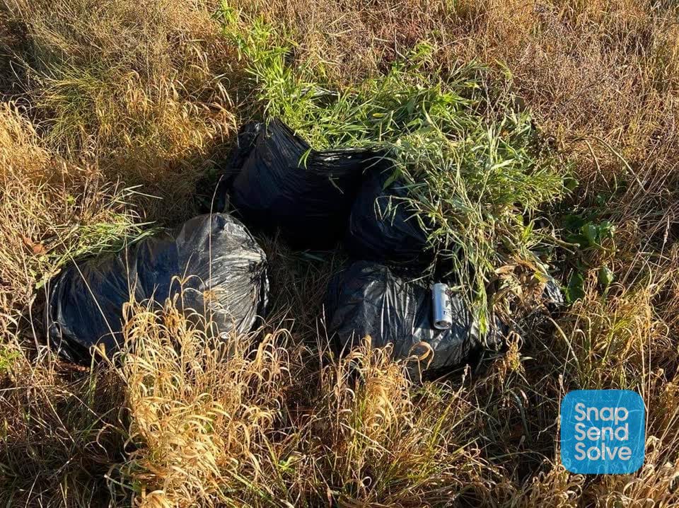 The photograph attached to this rubbish/recycling report