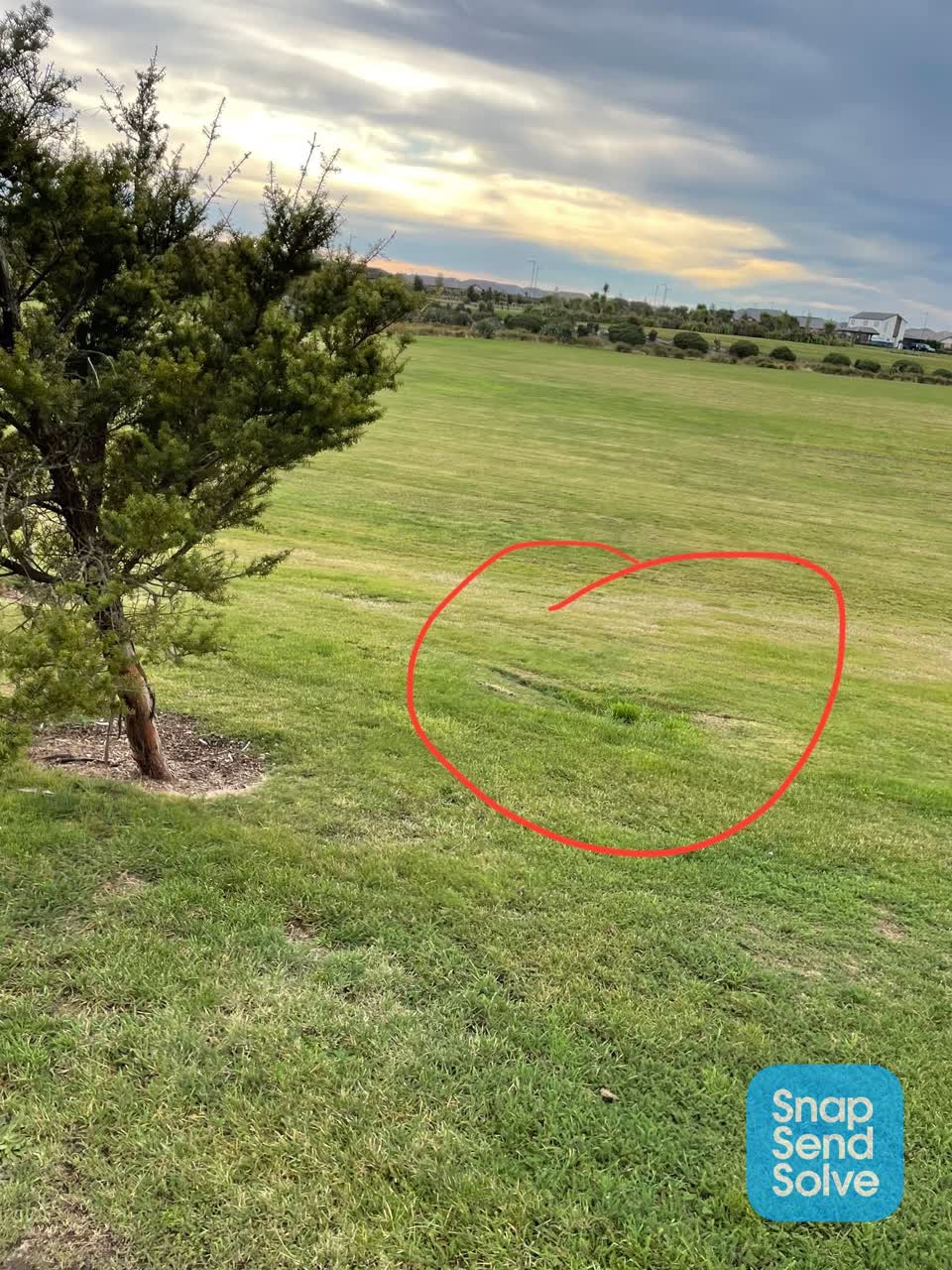 The photograph attached to this parks report