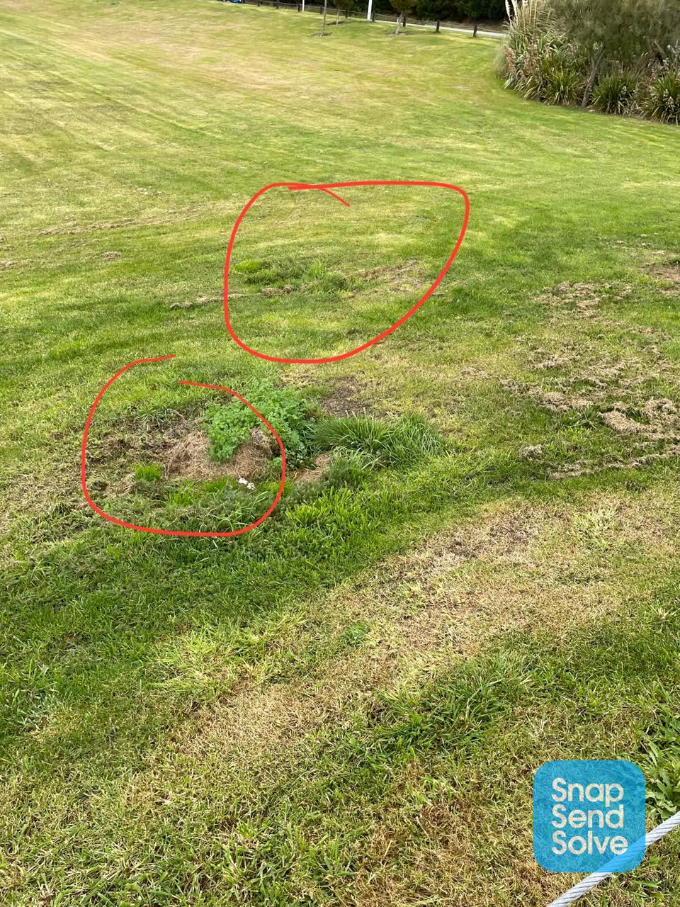 The photograph attached to this parks report
