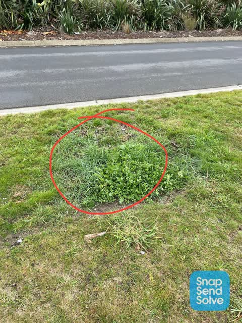 Parks, a report photo